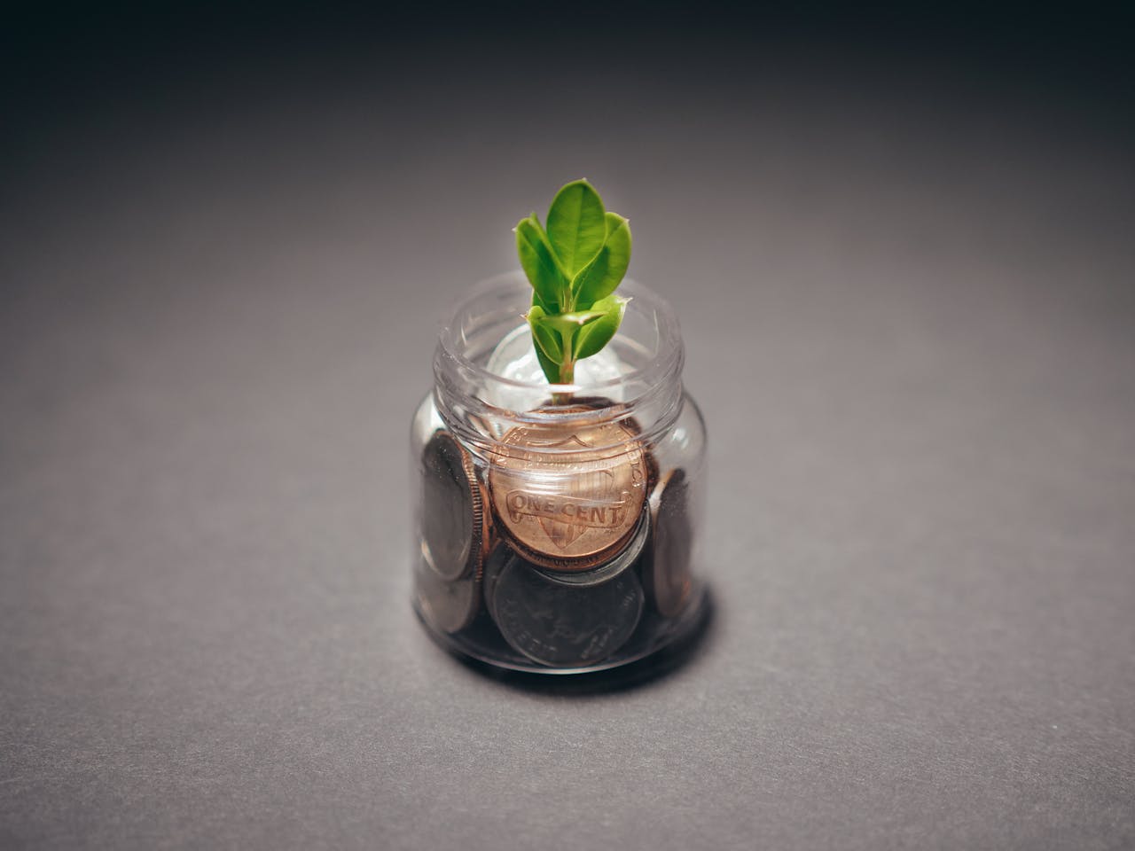 Green plant growing from a jar filled with coins, symbolizing financial growth and investment.